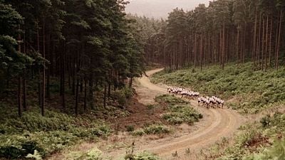 Imagem da notícia Esperamos 20 anos para ver a melhor minissérie da história: Agora está disponível em 2 serviços de streaming