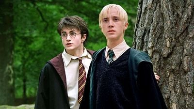 Imagem da notícia Esta é a principal diferença da série de Harry Potter para os filmes: "Você vê muito mais do que nos livros"