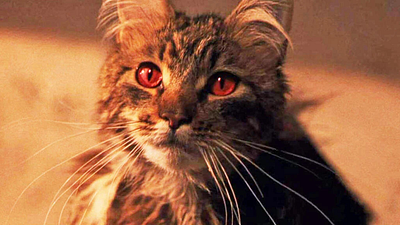 Imagem da notícia No streaming: O início da maior série de fantasia de todos os tempos, que em breve ganhará uma nova versão