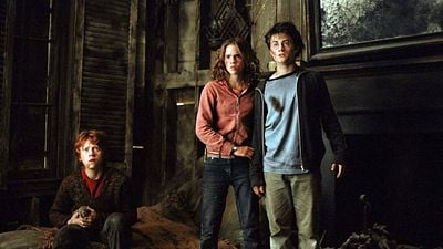 Harry Potter: Por mais de 20 anos, essa coincidência perturbadora ficou escondida na saga, e a maioria dos fãs nem percebeu