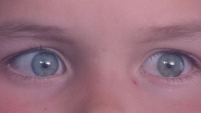 Imagem da notícia Há 30 anos estreava um dos melhores filmes de ficção científica e a maior obra-prima do cinema de viagem no tempo