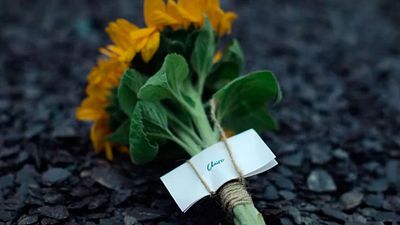 Imagem da notícia A minissérie de suspense que acaba de chegar à Netflix e já conquistou o público: 8 episódios e um final inesperado