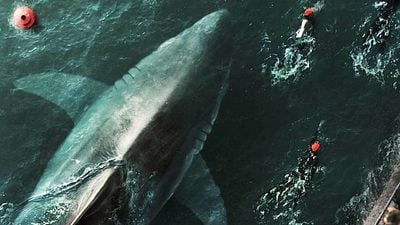 Imagem da notícia 177 milhões de horas assistidas: Netflix contrata um grande nome do cinema fantástico para a sequência de um dos filmes mais assistidos da história da plataforma