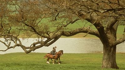 Imagem da notícia Hoje na Netflix: Uma das melhores atuações de Emma Thompson é nesta belíssima adaptação de um clássico da literatura que ganhou um Oscar