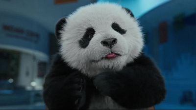 Imagem da notícia Sessão da Tarde hoje (22/09): Filme Operação Panda - Missão Resgate é estrelado por um dos maiores astros de ação de todos os tempos