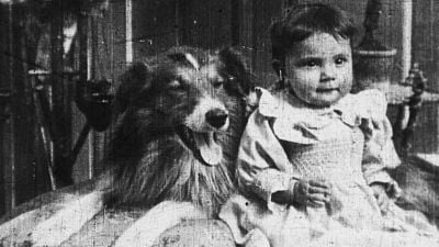 Imagem da notícia O primeiro cachorro da história do cinema fez tanto sucesso que, ao tentarem fazer cópias sem parar, quebraram o negativo e tomaram uma decisão sem precedentes