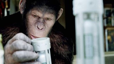 Imagem da notícia O Planeta dos Macacos está acontecendo na vida real? Muitos acreditam que a ficção científica está influenciando as nossas vidas