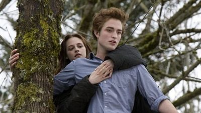 Imagem da notícia "Segure firme, macaco-aranha": Finalmente descobrimos a origem da frase mais bizarra de Crepúsculo