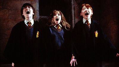 Imagem da notícia Foram necessários 25 anos para que o público compreendesse essa cena de A Pedra Filosofal. Não, nem a série de Harry Potter nem a HBO cometeram nenhum erro