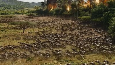 Imagem da notícia Está no Disney+: Um dos maiores sucessos de bilheteria de todos os tempos — com um final inacreditável