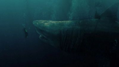 Imagem da notícia Para ver hoje à noite: Um sucesso de ação com Jason Statham que faz parte de um universo de quase 1 bilhão de dólares