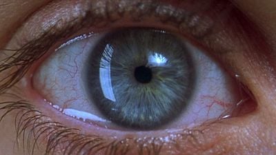 Imagem da notícia O filme mais cru e chocante do cinema moderno: Drama que traumatizou toda uma geração com seu final perturbador
