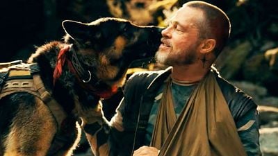 Imagem da notícia "A energia no set mudava": Brad Pitt revela experiência emocionante ao atuar com cachorro em novo filme