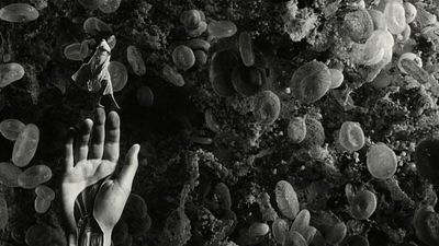 Imagem da notícia Para ver hoje à noite: Aquele que provavelmente é um dos melhores filmes do ano agora também está disponível no streaming