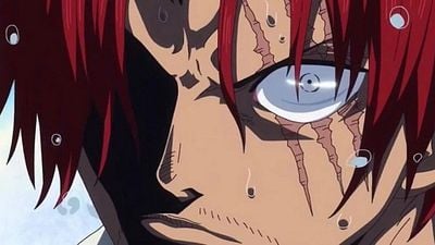 Imagem da notícia É um dos maiores erros de continuidade em One Piece e a culpa, na verdade, foi de Eiichiro Oda: "Eu esqueci de avisá-los"