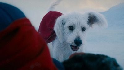 Imagem da notícia Superman: Krypto é totalmente de CGI? James Gunn explica como o supercão ganha vida na tela