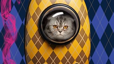 Imagem da notícia "Era inútil e eu o demiti": Diretor explica por que usou o animal de estimação de sua filha em Argylle