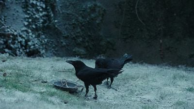 Imagem da notícia Nem Pecadores, nem A Hora do Mal: Um dos melhores filmes de terror do último ano foi indicado ao Oscar 2026 e você ainda não assistiu