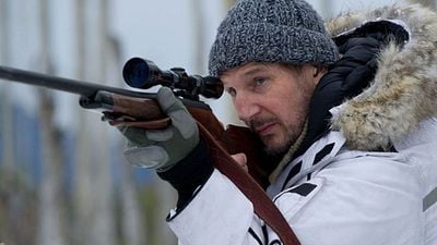 Imagem da notícia Dica de streaming: Neste filme de aventura, Liam Neeson tem que lidar com feras selvagens!