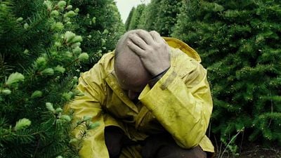 Imagem da notícia Este drama injustiçado é considerado o melhor filme do mundo pelo Rotten Tomatoes, e você pode assisti-lo ainda hoje