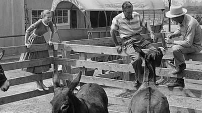 Imagem da notícia Eles viveram em segredo na Disneylândia por 16 anos – e ninguém percebeu!