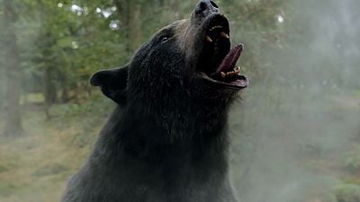 Imagem da notícia No streaming: Esta surpreendente história real inspirou um dos filmes mais loucos de 2023