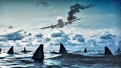 Imagem da notícia 27 anos depois de um dos filmes de terror mais divertidos de todos os tempos, este diretor retorna com um novo thriller de tubarões
