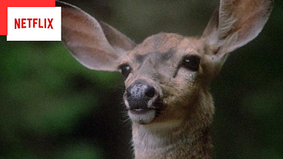 Imagem da notícia Para se emocionar na Netflix: Este clássico é um dos MELHORES filmes sobre o fim da infância