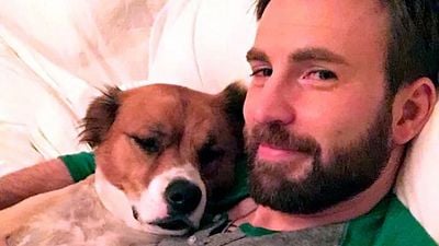 Imagem da notícia O vídeo secreto que mudou a vida de Chris Evans: Ele se apaixonou por seu cachorro Dodger em um abrigo de verdade