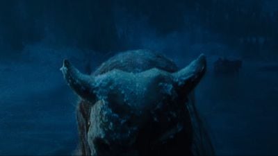 Imagem da notícia “É melhor que o primeiro!”: Stephen King já está fazendo propaganda dessa sequência de terror tão esperada