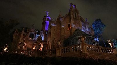 Imagem da notícia Disney World: O hábito macabro dos visitantes de parques de diversões