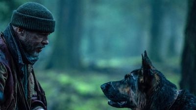 Imagem da notícia “Nunca trabalhe com cães e crianças”: Diretor de Coração Selvagem revela como ele e Brad Pitt gravaram as cenas com o cachorro protagonista