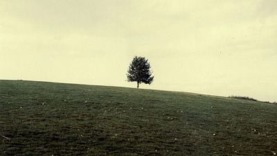 Imagem da notícia George R.R. Martin revela qual é o melhor final de uma série na história da TV - e não é o de Game of Thrones!