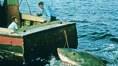 Imagem da notícia "O que aconteceu?": Steven Spielberg ficou chocado ao saber o que havia acontecido com o lendário barco de Tubarão