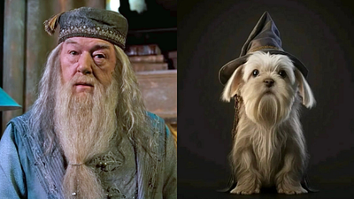 Imagem da notícia Se os personagens de Harry Potter fossem cachorrinhos, até Draco ficaria fofo; veja mais