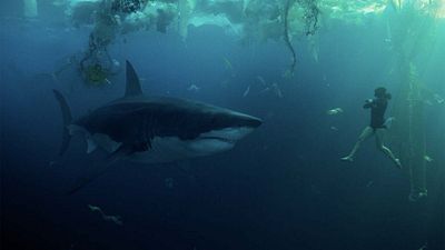 Imagem da notícia Acusações contra Sob as Águas do Sena: Produtores do filme da Netflix devem ir a tribunal