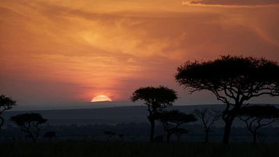 Imagem da notícia Nem Frozen, nem Toy Story: A animação com maior bilheteria da história do cinema dividiu opiniões em seu lançamento