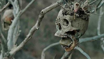 Imagem da notícia O faroeste que virou o gênero de cabeça para baixo com seu final cru e selvagem