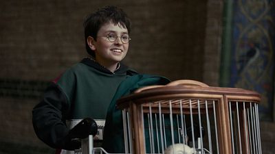 Imagem da notícia Tudo sobre a série de Harry Potter: Elenco, estreia, onde assistir e o que se sabe até agora