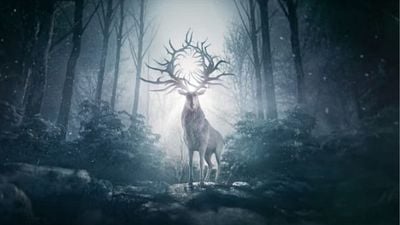 Imagem da notícia Por que essa série de fantasia da Netflix foi cancelada mesmo depois da forte campanha dos fãs?