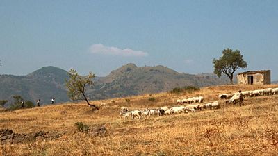 Imagem da notícia Este é o melhor filme americano de todos os tempos – de acordo com o lendário diretor Steven Spielberg