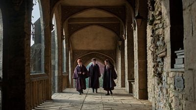 Imagem da notícia Os personagens da série de Harry Potter são mais fiéis ao livro do que os originais: Compare