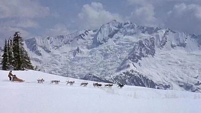 Imagem da notícia No streaming hoje: Este filme de aventura com um vencedor do Oscar brilha com imagens incrivelmente belas da natureza