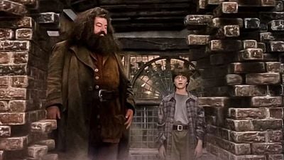 Imagem da notícia Ótimas notícias! Série de Harry Potter escala novo Hagrid: Astro de Star Wars está em negociações avançadas