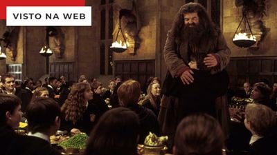 Harry Potter: 10 vezes em que Hagrid foi um paizão para o bruxinho