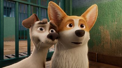 Imagem da notícia Sessão da Tarde hoje (15/01) na Globo: Filme Corgi: Top Dog tem uma conexão inesperada com James Bond – se você prestar atenção, vai perceber!