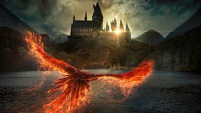 Imagem da notícia "Esse é o fim": Protagonista de spin-off de Harry Potter confirma cancelamento definitivo de filme aguardado há anos pelos fãs