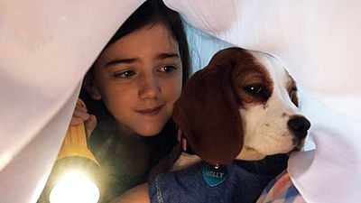 Imagem da notícia Sessão da Tarde hoje (07/04): Juntos Para Sempre traz bela homenagem a um dos melhores filmes de animação de todos os tempos