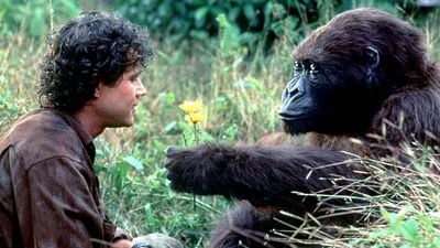 Imagem da notícia Já assistiu? Este filme de aventura dos anos 90 foi dirigido por uma lenda absoluta de Hollywood, mas acabou praticamente esquecido