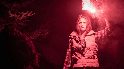 Imagem da notícia No streaming: Um dos melhores filmes de terror sobre animais dos últimos anos